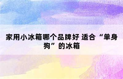 家用小冰箱哪个品牌好 适合“单身狗”的冰箱